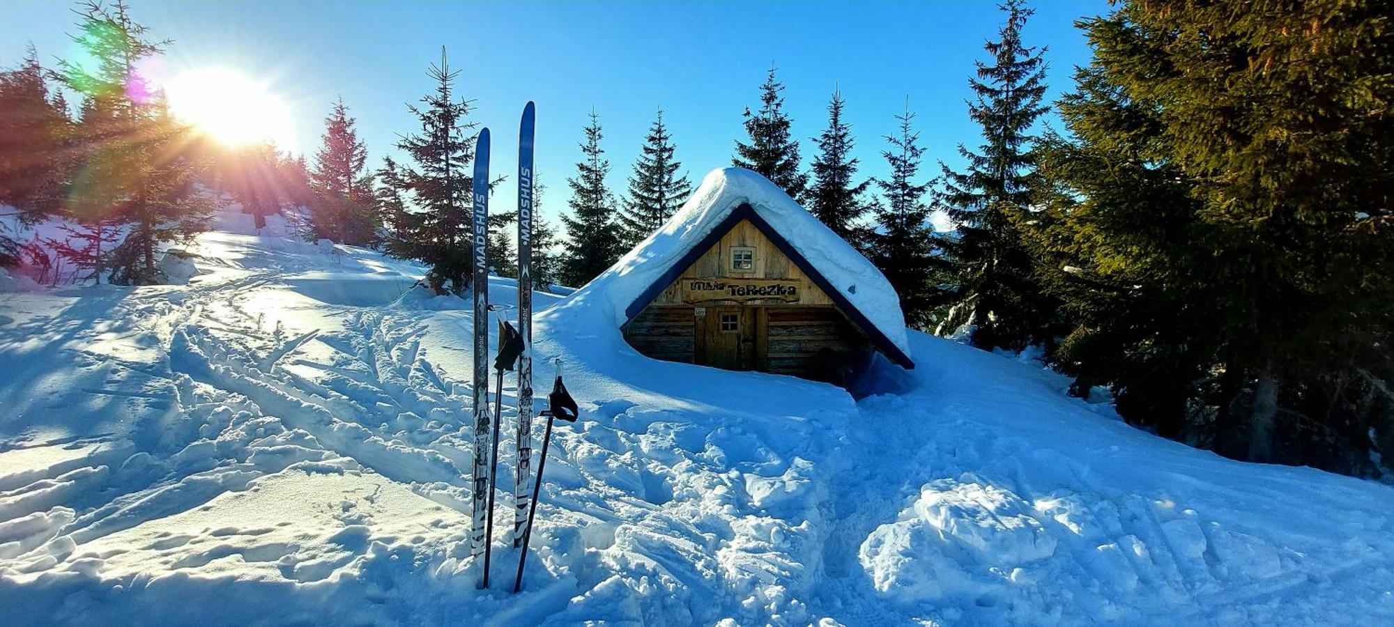 Willa Tiny House Lavender Podturen Zewnętrze zdjęcie